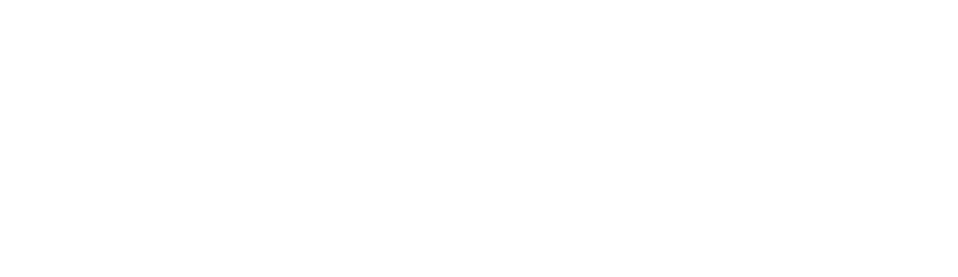 www.blackpoolpleasurebeach.com