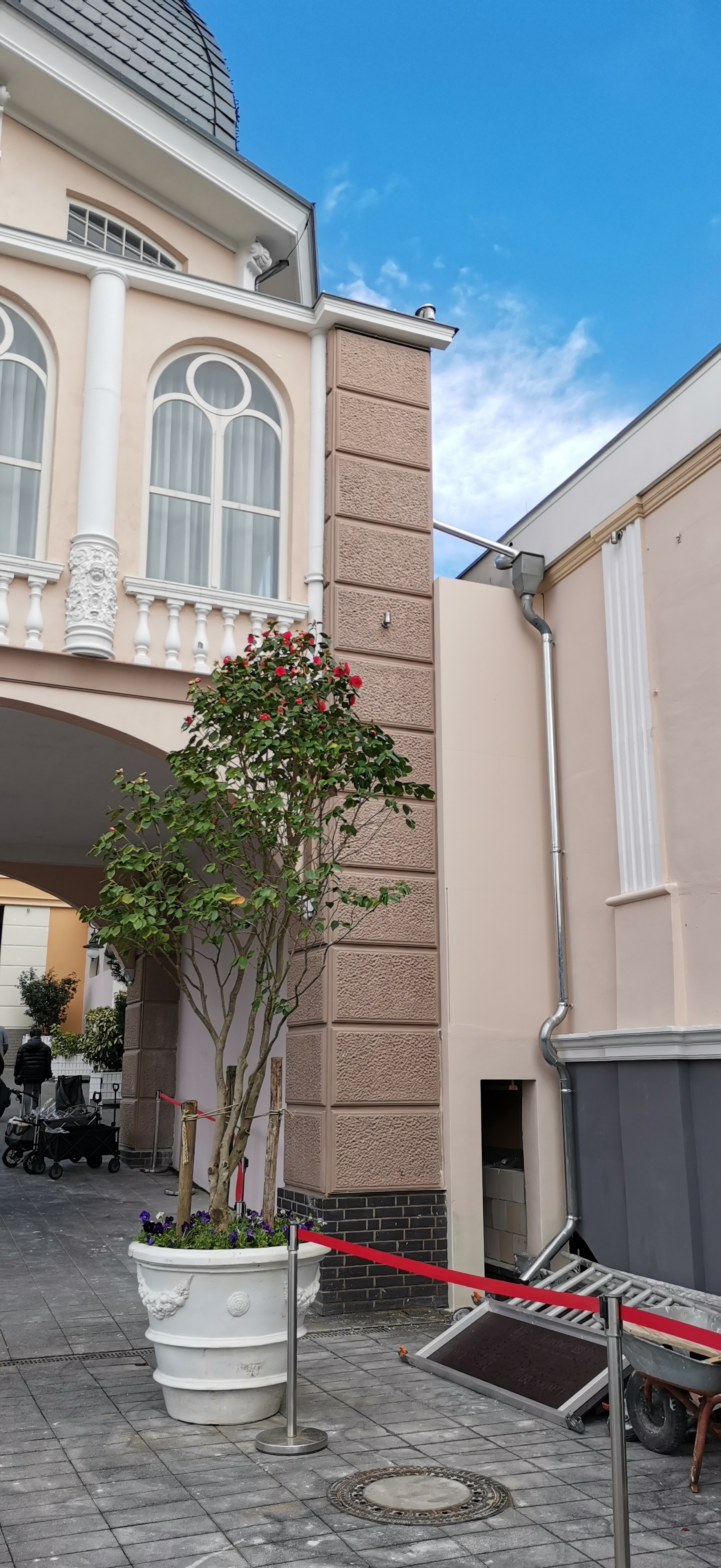 IMG_20240328_135113.jpg.870641d3c135282649c02b97f4be21cf.jpg IMG_20240328_135113.jpg.870641d3c135282649c02b97f4be21cf.jpg