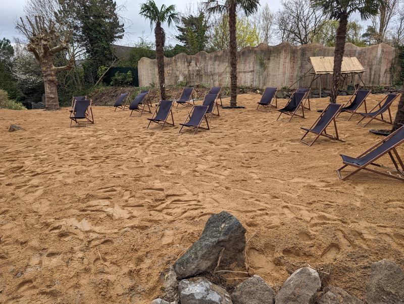 PXL_20240328_090114692.thumb.jpg.f19c94f43fb5a4a3ac0ef03dad0476c2.jpg PXL_20240328_090114692.thumb.jpg.f19c94f43fb5a4a3ac0ef03dad0476c2.jpg