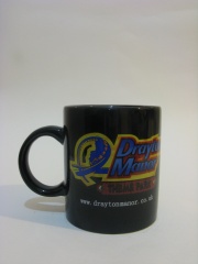DMP Standard Mug 2010.jpg