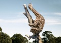 Funny giraffe 25.jpg
